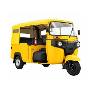BAJAJ MAXIMA / RE 250